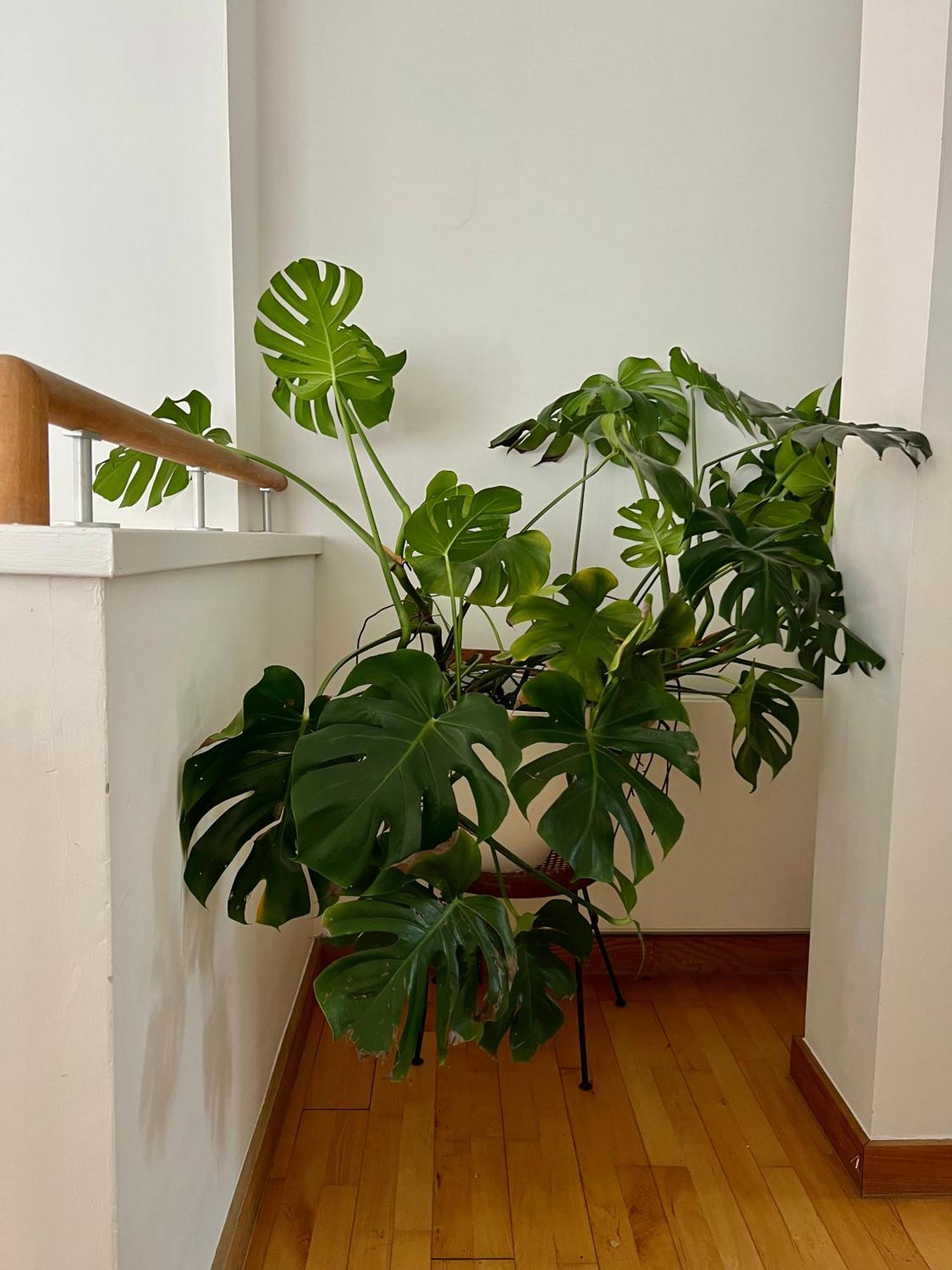 Huge In Loft With Sauna In Maison d'hôtes Londres